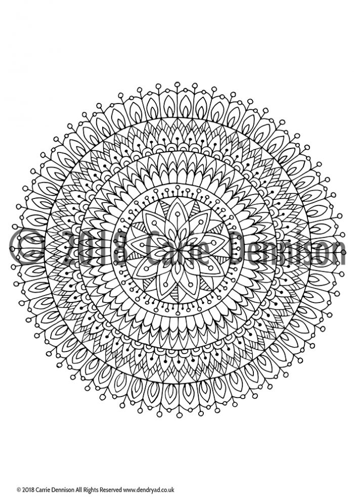 Dendryad Art - Set of 5 Floral Mandala Colouring pages