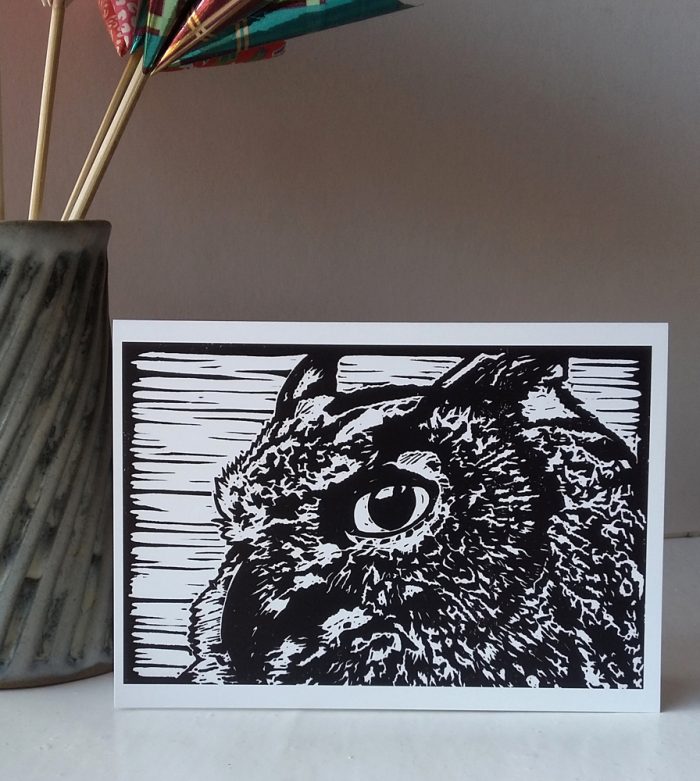 Oscar the Eagle Owl greetings card