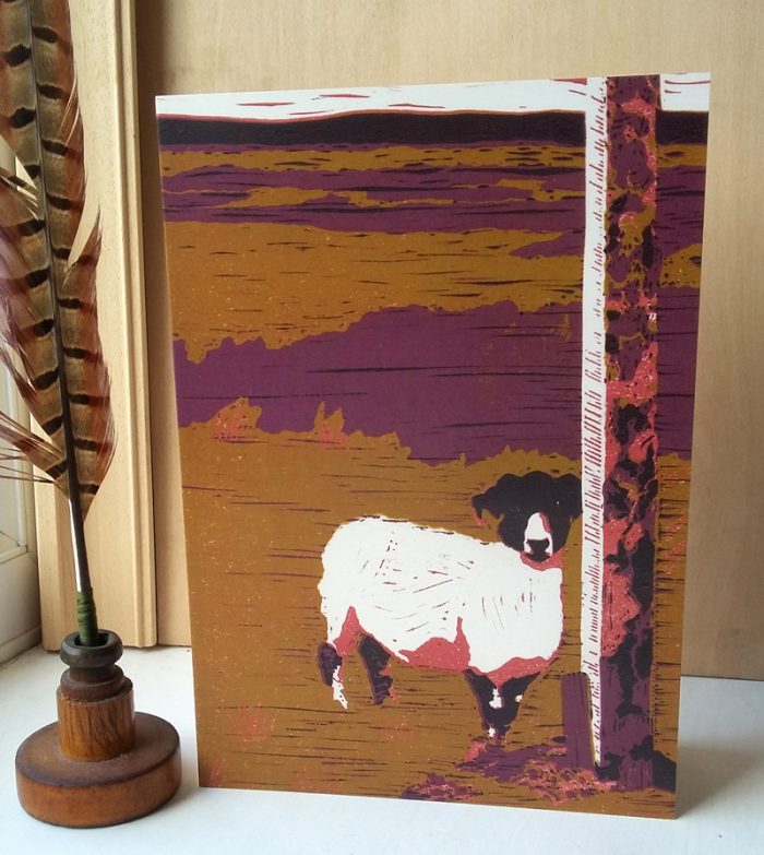 Sheep on Waskerley Moor A5 greetings card