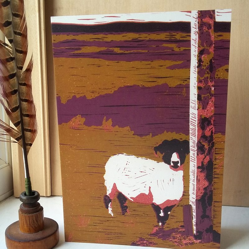 Sheep on Waskerley Moor A5 greetings card