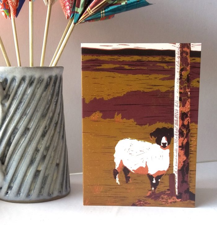 Sheep on Waskerley Moor greetings card